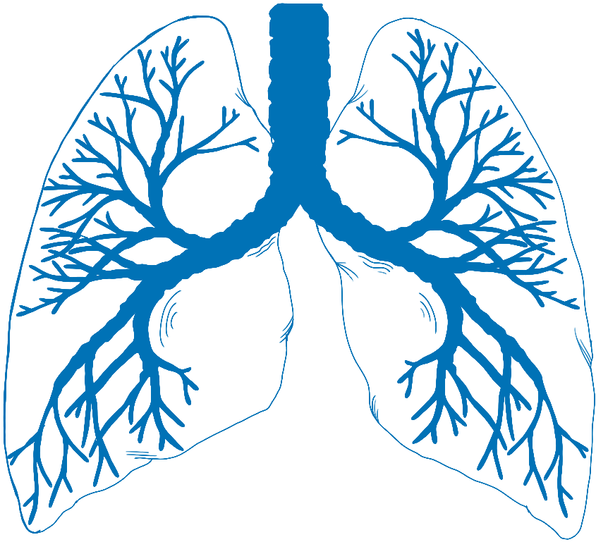 Blue lung illustration